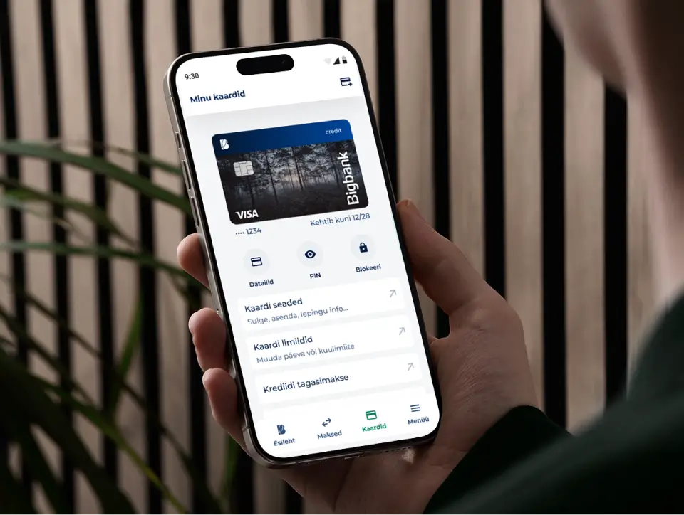 Bigbanki krediitkaart
